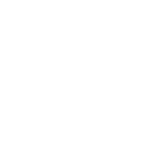 options icon