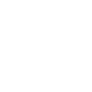 pound currency icon